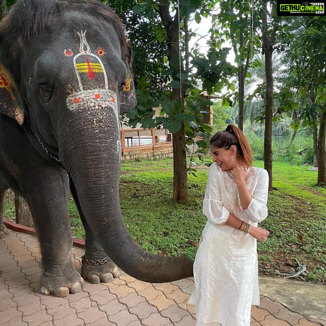 Karishma Sharma Instagram - I felt a deep connection with @srisriravishankar because of the Shiva consciousness and creation and manifestation he talks about, everytime im in distress and searching for an answer watching his interviews has always helped. Finally was fortunate to visit the aashram. The place is soulful and serene: it heals you in a way. The walk around the lake was tranquil and, it being the the animal friendly place it was, I made a new friend. Indrani and I feel we definitely enjoyed our small meet. Thank you @meranivishal for making this happen π