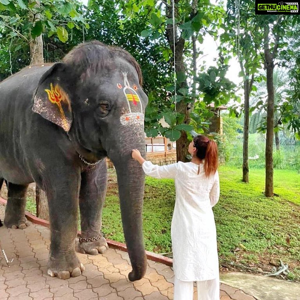 Karishma Sharma Instagram - I felt a deep connection with @srisriravishankar because of the Shiva consciousness and creation and manifestation he talks about, everytime im in distress and searching for an answer watching his interviews has always helped. Finally was fortunate to visit the aashram. The place is soulful and serene: it heals you in a way. The walk around the lake was tranquil and, it being the the animal friendly place it was, I made a new friend. Indrani and I feel we definitely enjoyed our small meet. Thank you @meranivishal for making this happen π