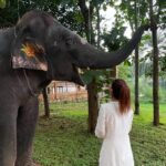Karishma Sharma Instagram - I felt a deep connection with @srisriravishankar because of the Shiva consciousness and creation and manifestation he talks about, everytime im in distress and searching for an answer watching his interviews has always helped. Finally was fortunate to visit the aashram. The place is soulful and serene: it heals you in a way. The walk around the lake was tranquil and, it being the the animal friendly place it was, I made a new friend. Indrani and I feel we definitely enjoyed our small meet. Thank you @meranivishal for making this happen 🙏
