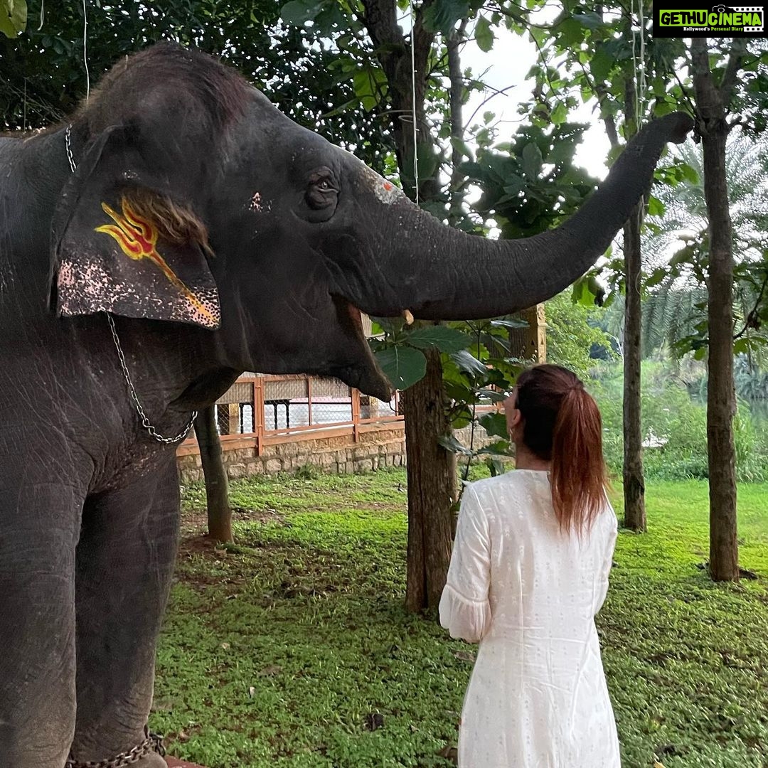 Karishma Sharma Instagram - I felt a deep connection with @srisriravishankar because of the Shiva consciousness and creation and manifestation he talks about, everytime im in distress and searching for an answer watching his interviews has always helped. Finally was fortunate to visit the aashram. The place is soulful and serene: it heals you in a way. The walk around the lake was tranquil and, it being the the animal friendly place it was, I made a new friend. Indrani and I feel we definitely enjoyed our small meet. Thank you @meranivishal for making this happen π