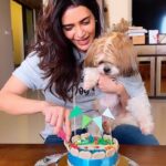 Karishma Tanna Instagram - Today is my babys day❤️❤️❤️❤️ @koko_tanna #birthday #koko #cake #reelsinstagram #reels