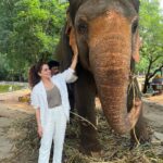 Kashish Singh Instagram – Haathi Mere Saathi……🐘🐘 #elephant #wildlife #wildlifephotography #lifegoals #yolo #lifelessons #bellavitakashish 😀😀🤩🤩🤨🤨😀😀😂😂 Sri Venkateswara Zoological Park