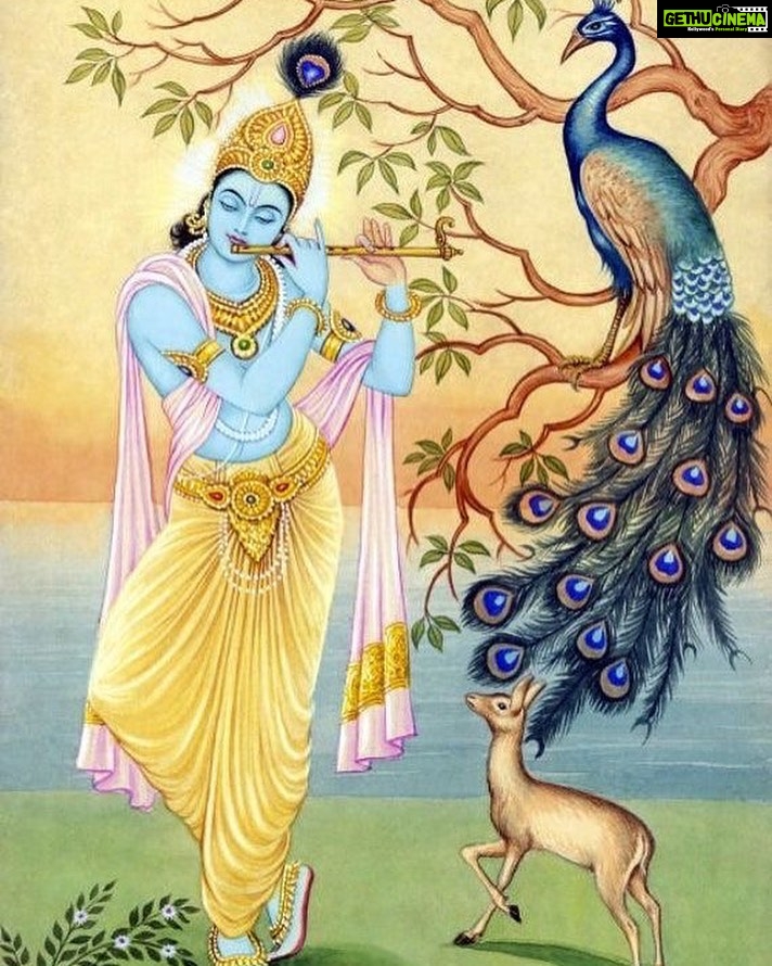 Kashish Singh Instagram - O krishna make me fall in love with you in every birth😍 #thanksmaadurga #foreverandalways #krishnalove #krishnathoughts #bellavitakashish 🙏🏻🙏🏻 Rishikesh