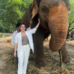 Kashish Singh Instagram - Haathi Mere Saathi……🐘🐘 #elephant #wildlife #wildlifephotography #lifegoals #yolo #lifelessons #bellavitakashish 😀😀🤩🤩🤨🤨😀😀😂😂 Sri Venkateswara Zoological Park