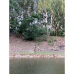 Kiran Abbavaram Instagram - After long time . Nature ❤️