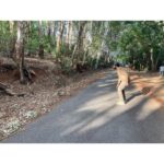 Kiran Abbavaram Instagram - After long time . Nature ❤️