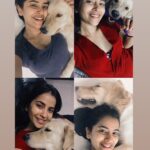 Komalee Prasad Instagram - The only kind of “WHISKEY” I would prefer 🐶❤️