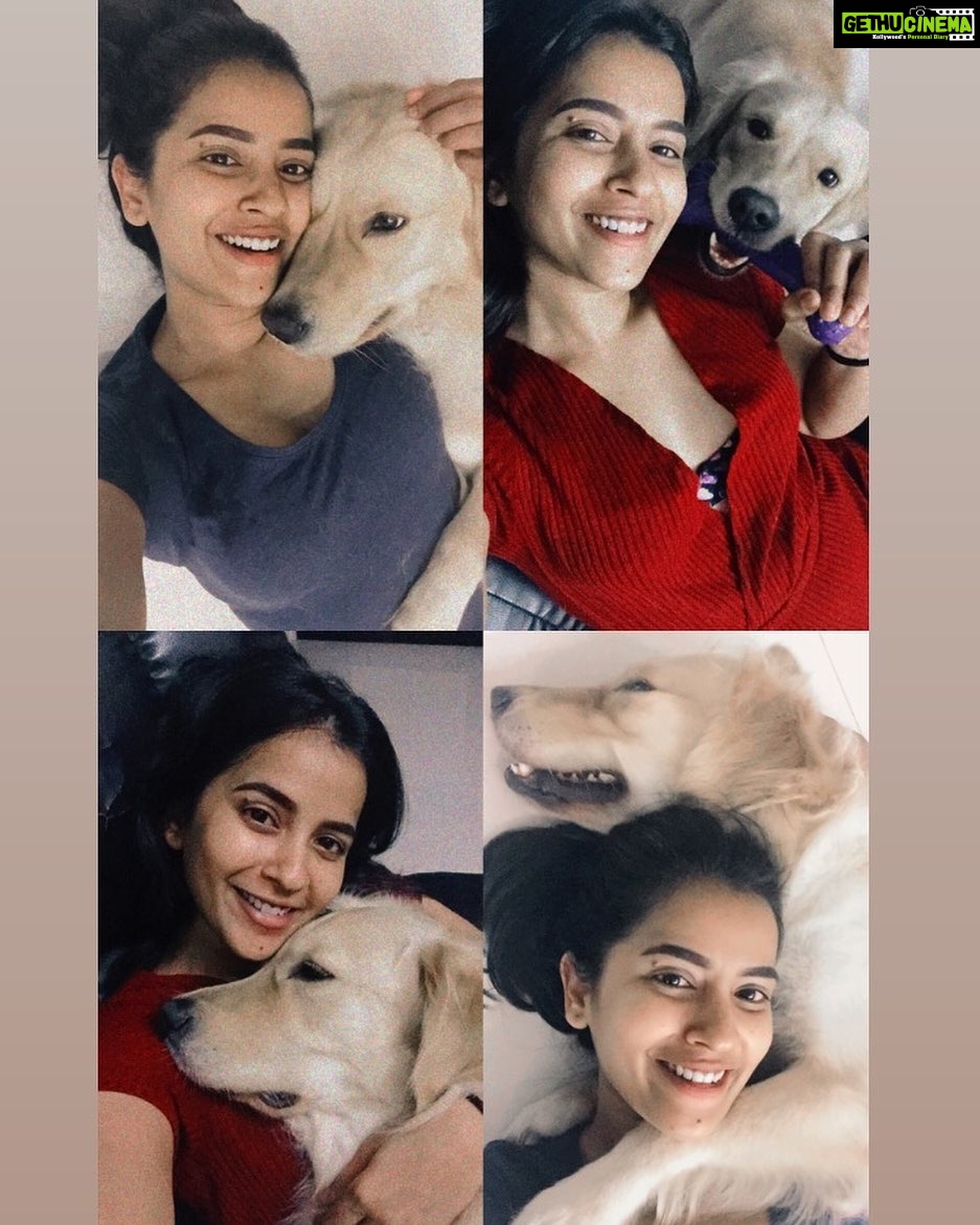 Komalee Prasad Instagram - The only kind of “WHISKEY” I would prefer 🐶❤️