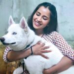 Komalee Prasad Instagram - He is definitely dominating me in every frame. Yet another twilight with @whitehuskywolf ❤️✨ Thank you so much for these pictures with you're boy KC ! @krishnamoturu 🤗
