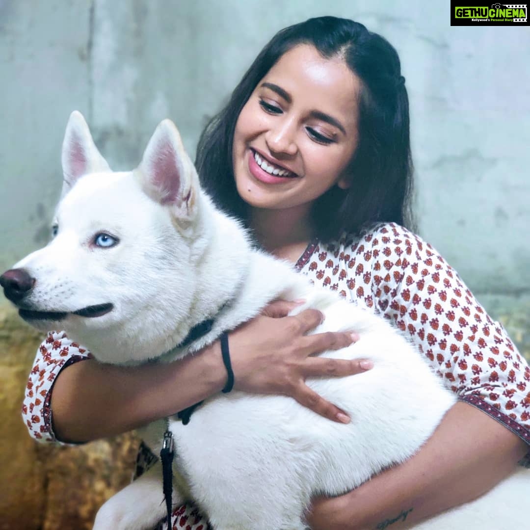 Komalee Prasad Instagram - He is definitely dominating me in every frame. Yet another twilight with @whitehuskywolf ❤️✨ Thank you so much for these pictures with you're boy KC ! @krishnamoturu 🤗