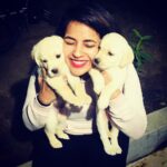 Komalee Prasad Instagram - Can I have them all ? 🙈
