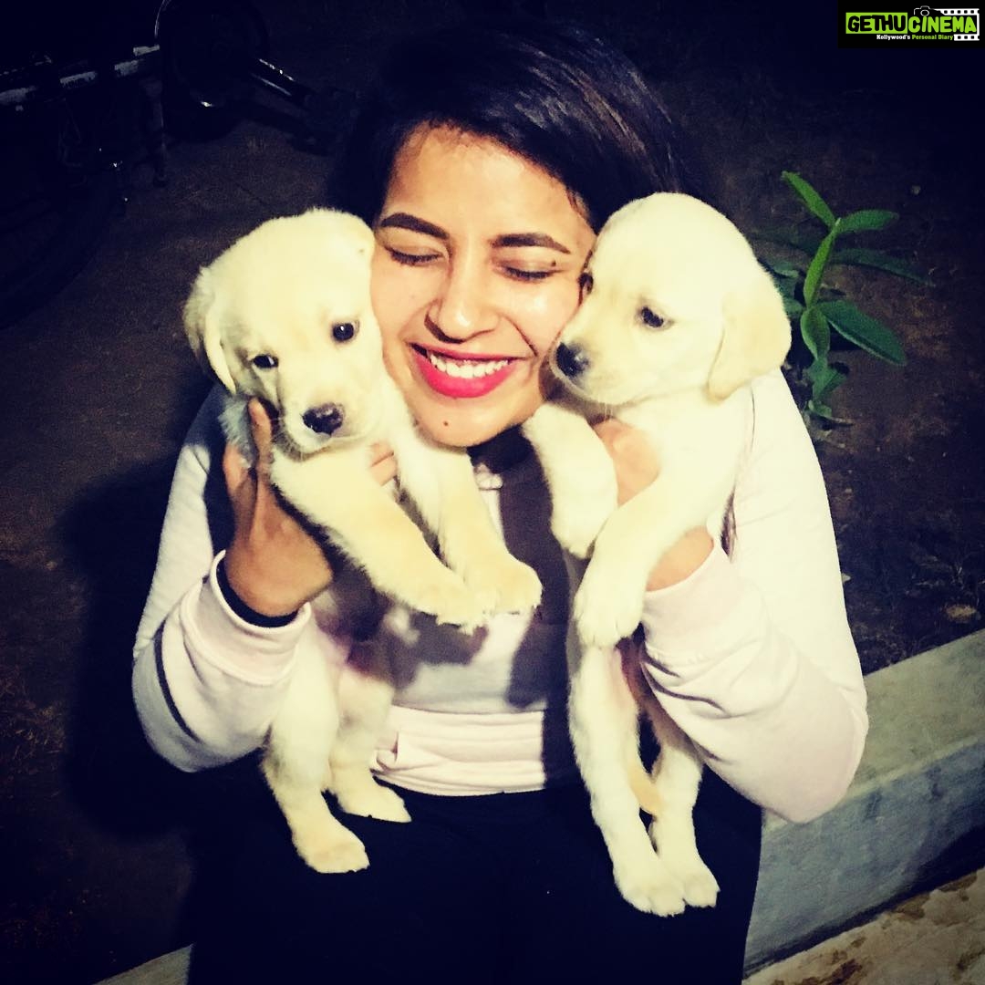 Komalee Prasad Instagram - Can I have them all ? 🙈