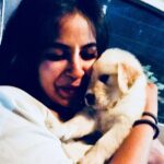 Komalee Prasad Instagram - Finally a dog parent! And he is WHISKEY PRASAD! ☺️❤️