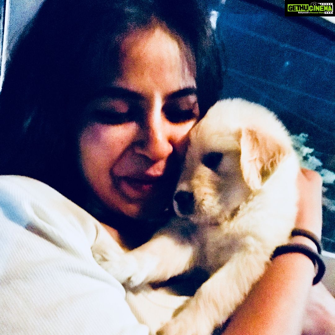 Komalee Prasad Instagram - Finally a dog parent! And he is WHISKEY PRASAD! ☺️❤️