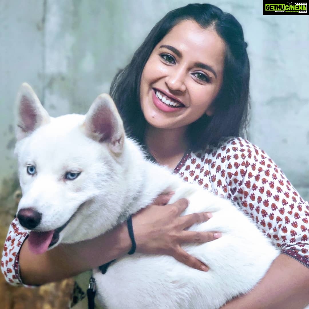 Komalee Prasad Instagram - He is definitely dominating me in every frame. Yet another twilight with @whitehuskywolf ❤️✨ Thank you so much for these pictures with you're boy KC ! @krishnamoturu 🤗