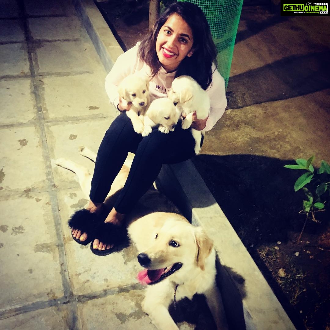 Komalee Prasad Instagram - Can I have them all ? 🙈