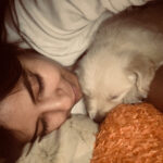 Komalee Prasad Instagram - Finally a dog parent! And he is WHISKEY PRASAD! ☺️❤️
