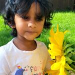 Madhumila Instagram - You are my sunshine....🌻 #belikeagoldensunflower Kingston, Ontario