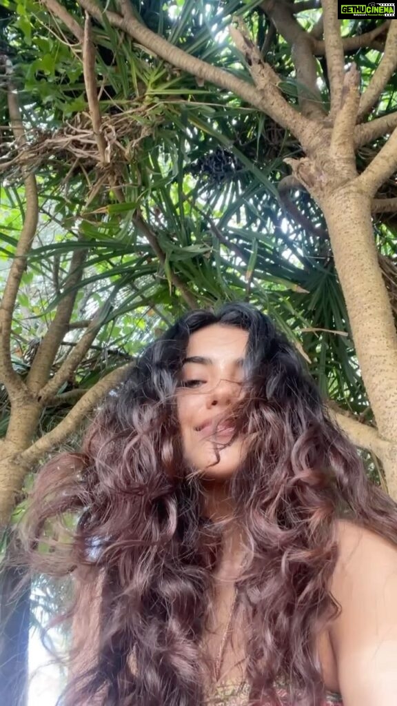 Malvika Sharma Instagram - I have a love-hate relationship with my curls! Learning to love my curly hair and accept myself the way I am 😬 So this is a special post for my beautiful curls ❤