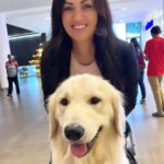 Maryam Zakaria Instagram - Happy international dog day ❤️ @rockycutiegolden . . #happyinternationaldogday #doglover #goldenretriever Mumbai, Maharashtra