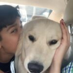 Maryam Zakaria Instagram - My precious cuties ❤️❤️❤️🙏 @realaryanthakur @rockycutiegolden . . #cutnessoverload #goldenretriever #instakids #reels #trendingreels #reelsinstagram #dogsofinstagram #dog #doglover #roadtrip #lovedogs #goldenretrieversofinstagram #goldenretrieverlovers