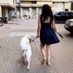 Maryam Zakaria Instagram - Walking like my dog 😀 @rockycutiegolden . . #goldenretrieversofinstagram #goldenretriever #hipsdontlie #walkinglike #myfavoritegoldens #instagolden #reels #catwalk #reelsinstagram #reelitfeelit #bollywoodactress #influencer