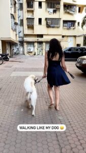Maryam Zakaria Instagram - Walking like my dog 😀 @rockycutiegolden . . #goldenretrieversofinstagram #goldenretriever #hipsdontlie #walkinglike #myfavoritegoldens #instagolden #reels #catwalk #reelsinstagram #reelitfeelit #bollywoodactress #influencer