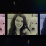 Maryam Zakaria Instagram - Sunday Funday 😀🤪 😍 @rockycutie2021 #cuteness #cutenessoverload #trendingreels #reels #dogsofinstagram #goldenretriever #doglover #reelitfeelit #reelsinstagram
