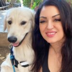 Maryam Zakaria Instagram - Smile 😃 @rockycutie2021 . . #goldenretriever #selfiewithmydog #doglover #cutenessoverload #smile #love #actress #influencer Mumbai, Maharashtra