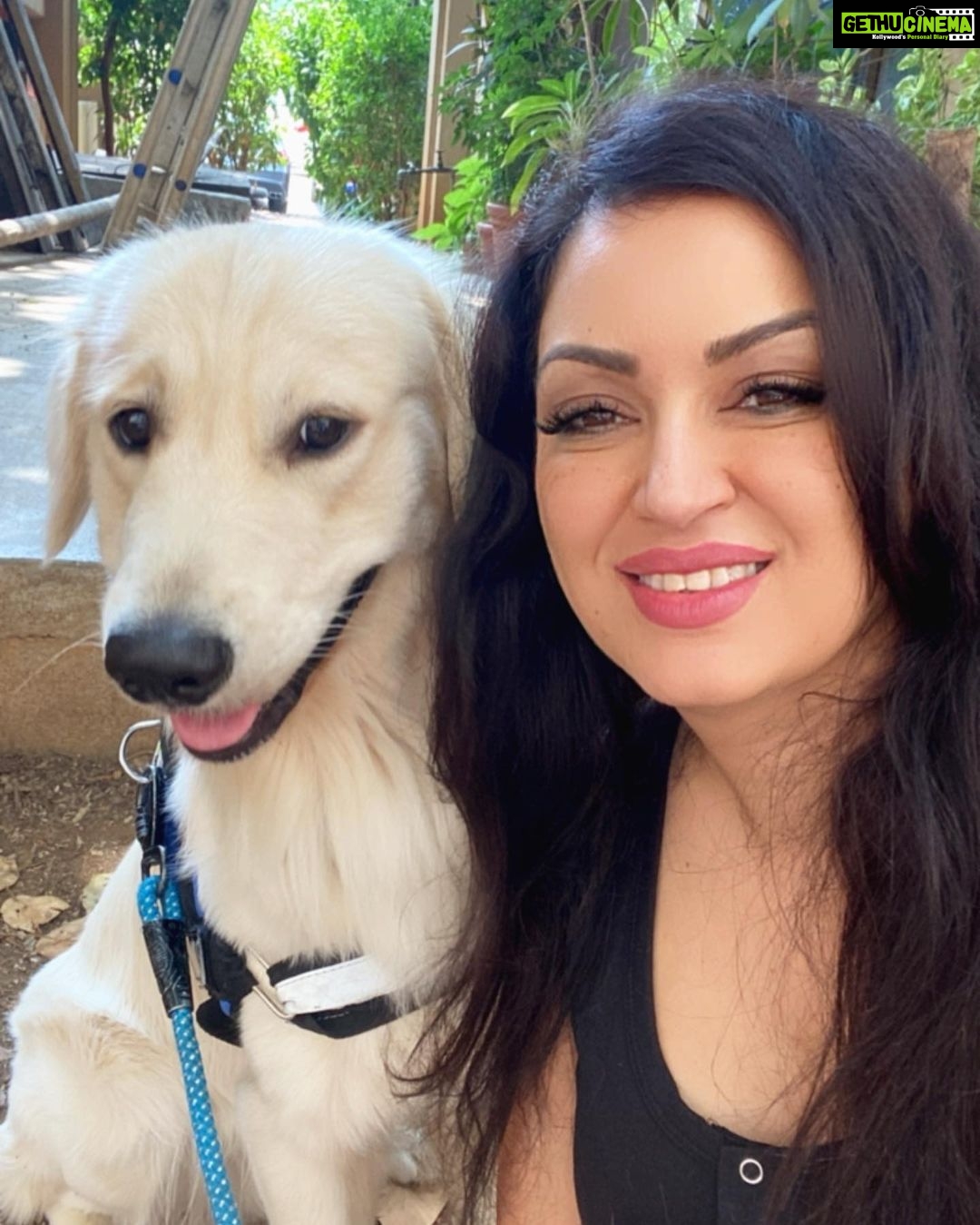 Maryam Zakaria Instagram - Smile 😃 @rockycutie2021 . . #goldenretriever #selfiewithmydog #doglover #cutenessoverload #smile #love #actress #influencer Mumbai, Maharashtra