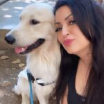 Maryam Zakaria Instagram - Smile 😃 @rockycutie2021 . . #goldenretriever #selfiewithmydog #doglover #cutenessoverload #smile #love #actress #influencer Mumbai, Maharashtra