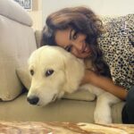 Maryam Zakaria Instagram – Missed you my baby @rockycutie2021 ❤️❤️❤️
.
.
#goldenretriever #doglover #cutnessoverload #mybaby #dogphotography #influencer #model #actress #smile #happiness Mumbai, Maharashtra