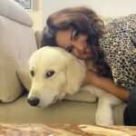 Maryam Zakaria Instagram - Missed you my baby @rockycutie2021 ❤️❤️❤️ . . #goldenretriever #doglover #cutnessoverload #mybaby #dogphotography #influencer #model #actress #smile #happiness Mumbai, Maharashtra