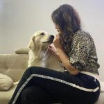 Maryam Zakaria Instagram - Missed you my baby @rockycutie2021 ❤️❤️❤️ . . #goldenretriever #doglover #cutnessoverload #mybaby #dogphotography #influencer #model #actress #smile #happiness Mumbai, Maharashtra