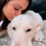 Maryam Zakaria Instagram - Happy kiss day 😘 . . #kiss #love #doglover #goldenretriever #cutnessoverload #happykissday