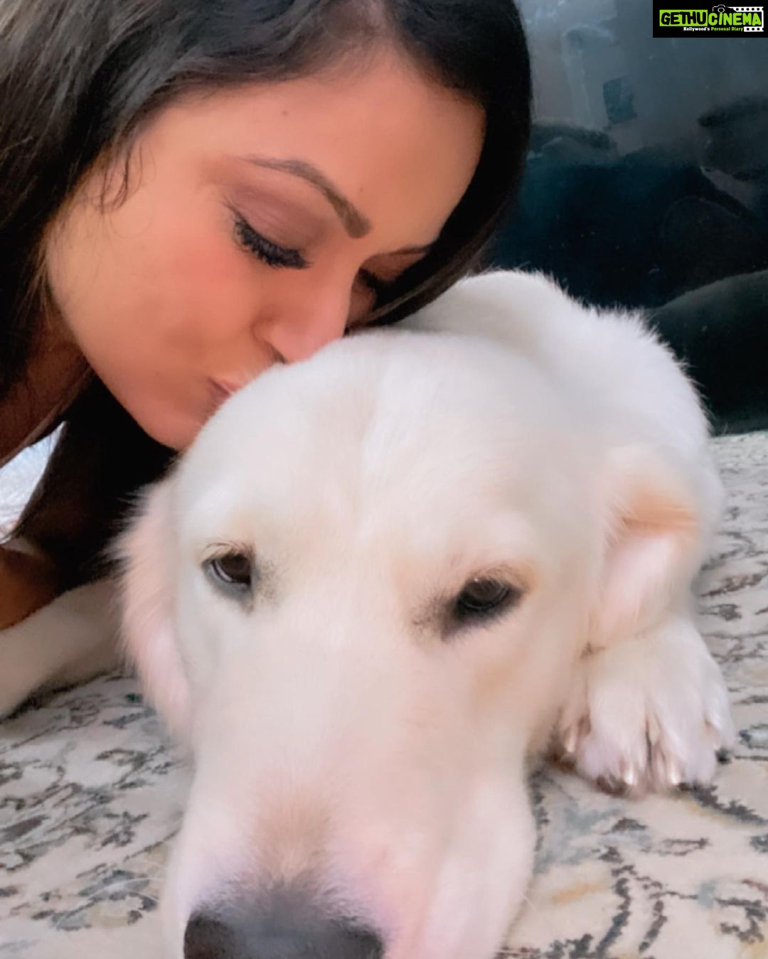 Maryam Zakaria Instagram - Happy kiss day 😘 . . #kiss #love #doglover #goldenretriever #cutnessoverload #happykissday