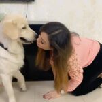 Maryam Zakaria Instagram - Happy 1st birthday my cutie pie @rockycutie2021 you have bring so much joy and happiness to our life. We are so blessed to have you. Love you so much ❤️❤️❤️ . . #happybirthday #happt1stbirthday #goldenretriever #cutnessoverload #reels #reelsofdogs #reelsinstagram #dog Mumbai, Maharashtra