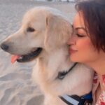 Maryam Zakaria Instagram - Rocky enjoying a lot in Goa 😀🏖 . . #goa #holiday #puppylove #goldenretriever #cutnessoverload #beach #traveldiaries