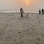 Maryam Zakaria Instagram - The sunset vibe 😍 🌞 . . #beautiful #sunset #traveldiaries #reels #slomo #puppy #goldenretriever #reelsinstagram #goa #beach Morjim