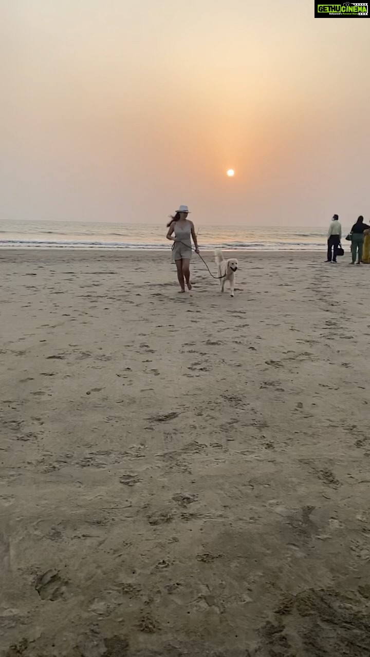 Maryam Zakaria Instagram - The sunset vibe 😍 🌞 . . #beautiful #sunset #traveldiaries #reels #slomo #puppy #goldenretriever #reelsinstagram #goa #beach Morjim