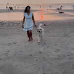 Maryam Zakaria Instagram - Beautiful beach, the sunset & my Rocky ❤️🙏 📍 Ashvem beach - Goa . . #travel #traveldiaries #beach #goa #sunset #beautifuldestinations #goldenretriever #doglover #reelswithmz #maryamzakaria