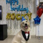 Maryam Zakaria Instagram - Happy 1st birthday Rocky we love you so much ❤️❤️❤️ Mumbai, Maharashtra