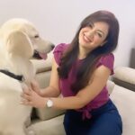 Maryam Zakaria Instagram - Yes typical me 🙈😂😂🤪 . . #funny #trending #reels #reelsinstagram #reelitfeelit #puppy #goldenretriever #actress #influencer