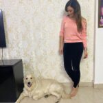 Maryam Zakaria Instagram - I enjoy clicking pix with my baby @rockycutie2021 ❤️😀 #puppylove #goldenretriever #cutedog #dog #cutnessoverload #style #fashion #influencer #actress #model