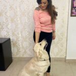 Maryam Zakaria Instagram - I enjoy clicking pix with my baby @rockycutie2021 ❤️😀 #puppylove #goldenretriever #cutedog #dog #cutnessoverload #style #fashion #influencer #actress #model