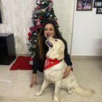 Maryam Zakaria Instagram – Happy new year everyone ❤️ #aboutlastnight #newyearcelebrations #funtime #family #puppylove #goldenretriever Mumbai, Maharashtra