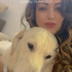 Maryam Zakaria Instagram - Had to try this trend with @rockycutie2021 😃😍 #reels #cutnessoverload #puppylove #goldenretriever #reelitfeelit