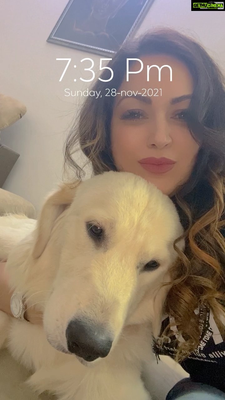 Maryam Zakaria Instagram - Had to try this trend with @rockycutie2021 😃😍 #reels #cutnessoverload #puppylove #goldenretriever #reelitfeelit