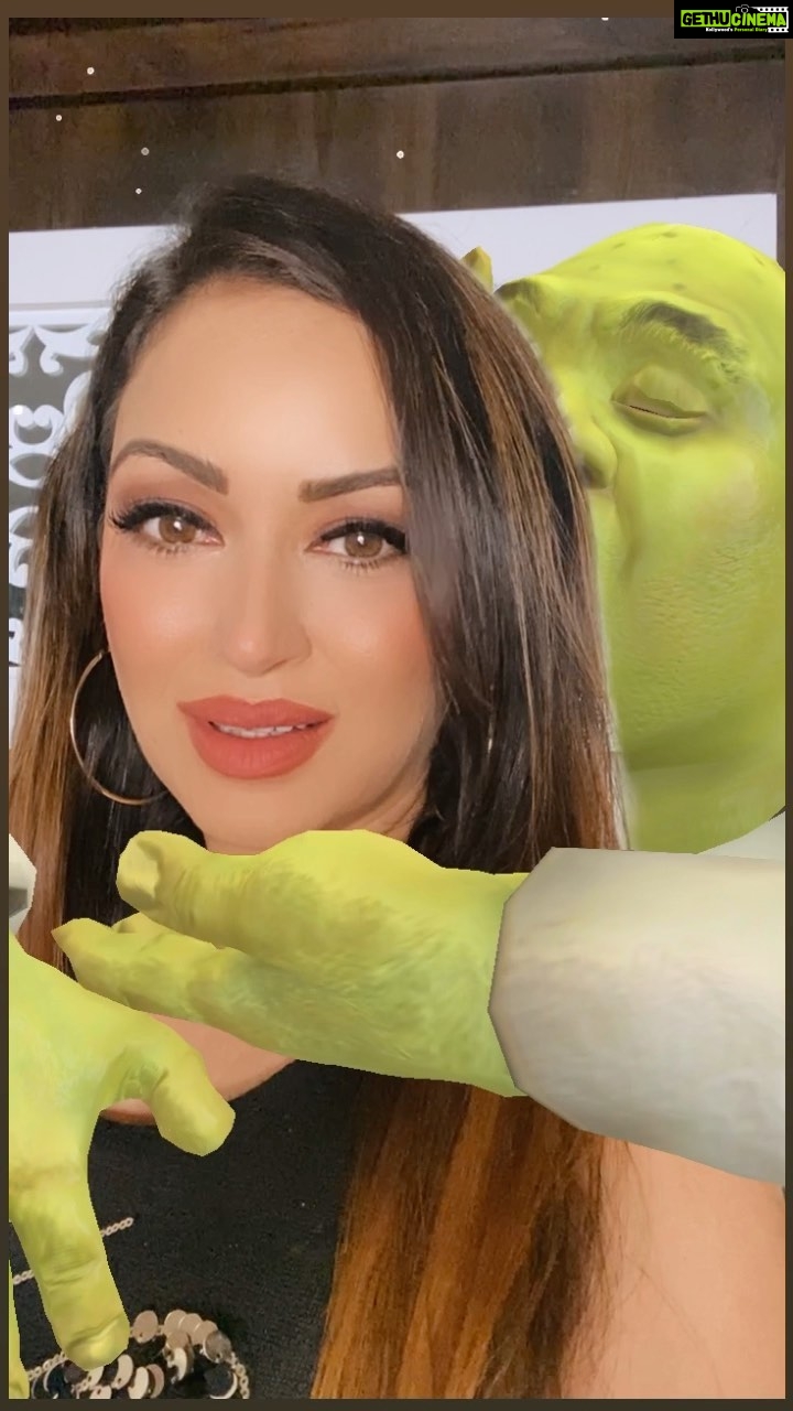 Maryam Zakaria Instagram - Omg my favourite Shrek 😍😂 #reels #trending #shrek