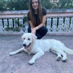 Maryam Zakaria Instagram - Good morning 😍❤️ . . #smile #puppylove #goldenretriever
